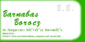 barnabas borocz business card